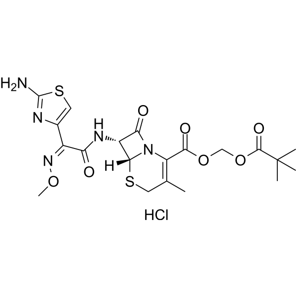 Cefetamet pivoxil hydrochloride 111696-23-2